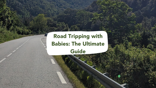 The Ultimate Guide to Road Tripping with Babies and Toddlers: Tips for Stress-Free Travel